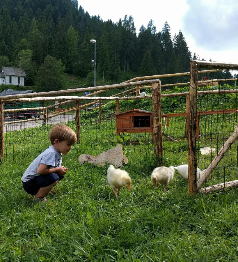 Agritur Broch Villa Fiera Di Primiero Bagian luar foto